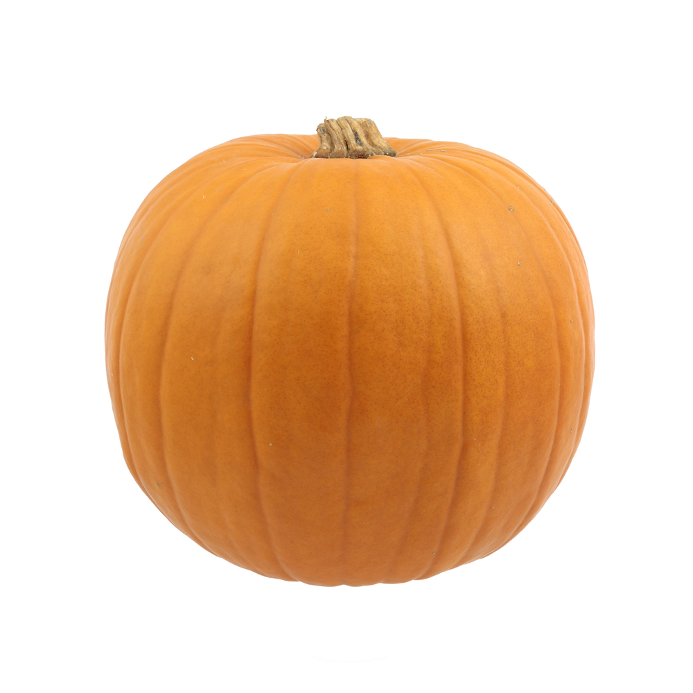 Citrouille Halloween Jack O' Lantern D.25+cm