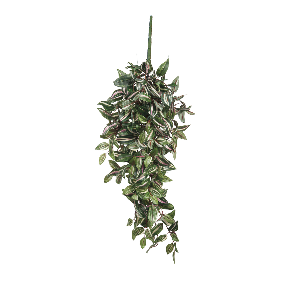 Chute de tradescantia, vert L. 80 x l. 30 x H. 15 cm