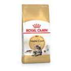 Croquettes chat Royal Canin Maine Coon : 2 kg