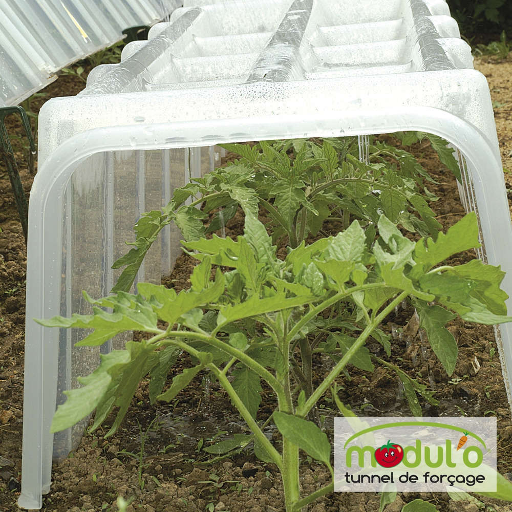 Mini Serre de jardin Modulo 40  L105 x l39 x H30cm