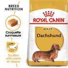Croquette chien dachshund adult - 1,5kg