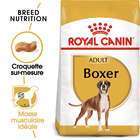 Croquette chien boxer adult - 12kg