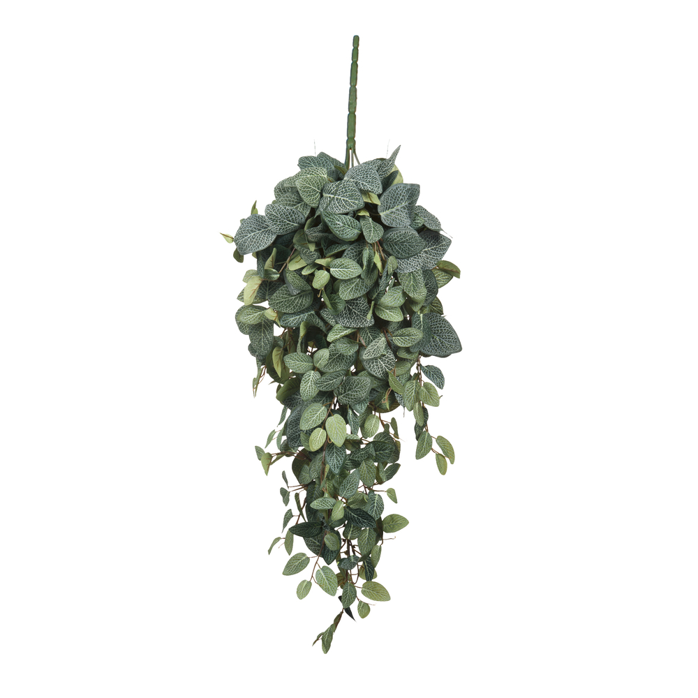 Chute de pilea, vert L. 70 x l. 30 x H. 20 cm