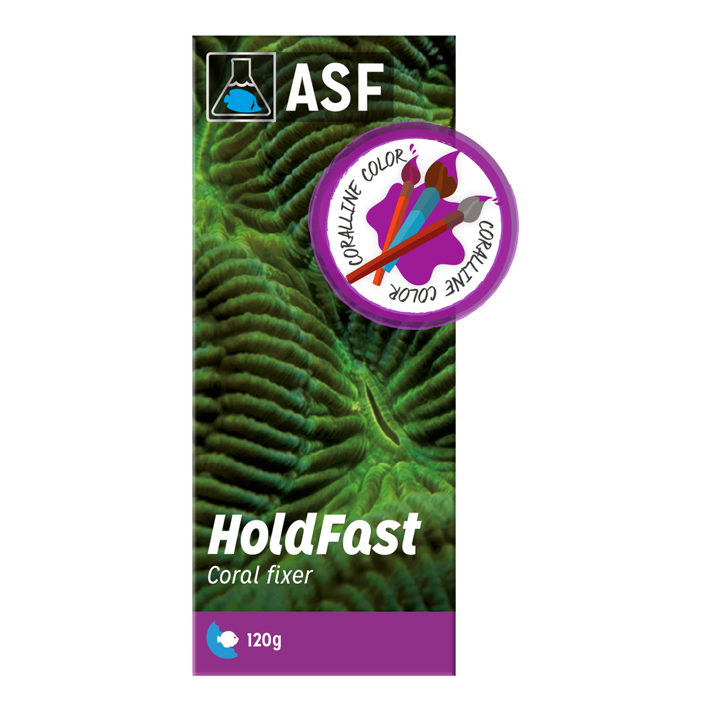 Colle epoxyde Hold Fast