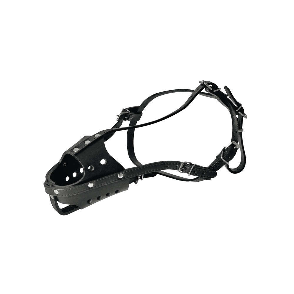 Muselière cuir taille 5 noir