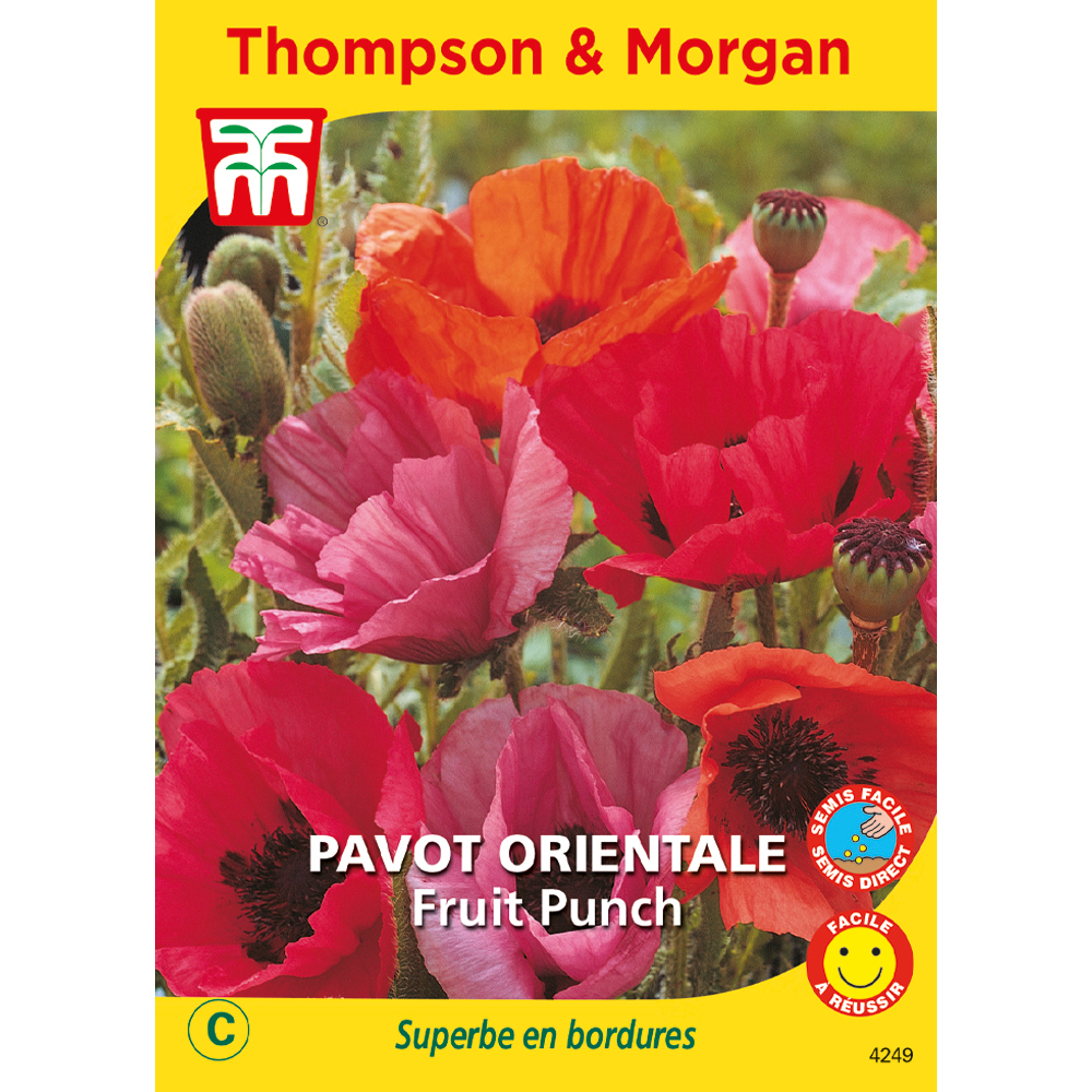 pavot orientale fruit punch