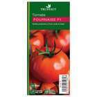 Plant de tomate 'Fournaise' F1 : pot de 0,5 litre