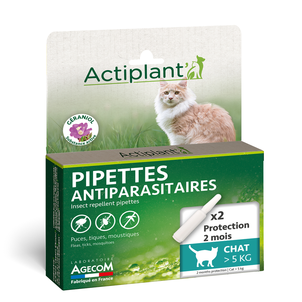 Pipette antiparasitaire grand chat Eco spot n°1,1 essentiel : 2 x 1ml
