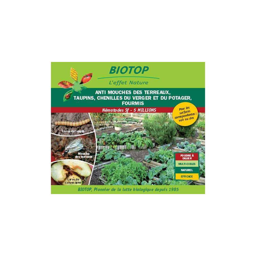 Nématode Sf 5 M, anti-mouches des terreaux