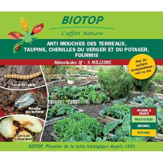 Nématode Sf 5 M, anti-mouches des terreaux