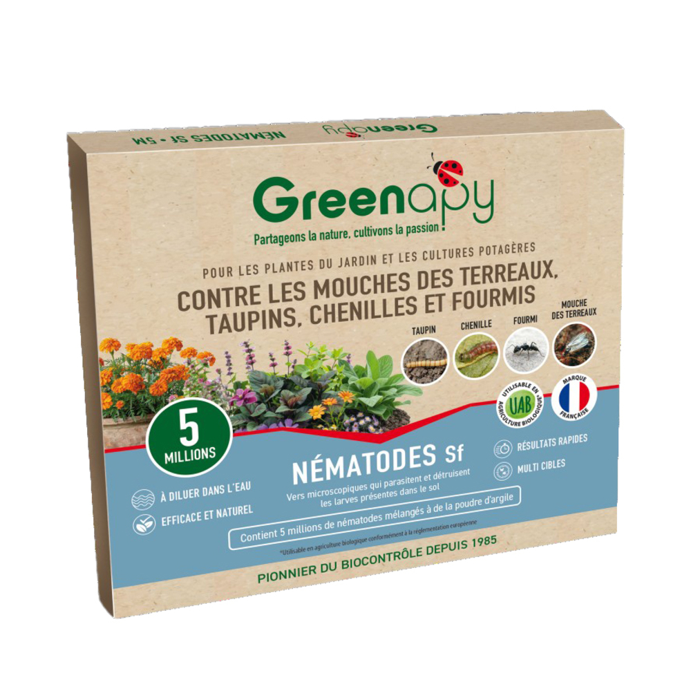 Nématode Sf 5 M, anti-mouches des terreaux