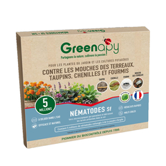 Nématode Sf 5 M, anti-mouches des terreaux