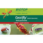 Coccifly® 80 larves anti-puceron arbuste