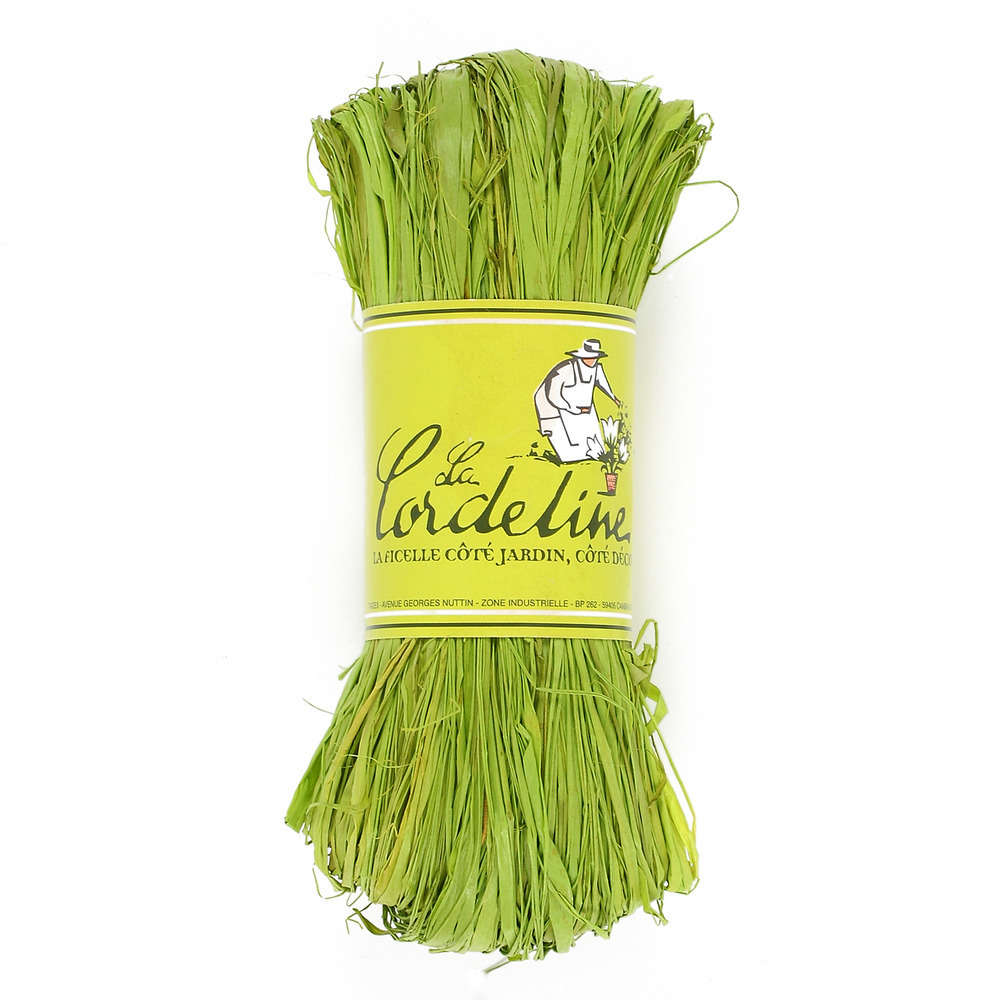 Floche de Raphia : 50gr, coloris pomme