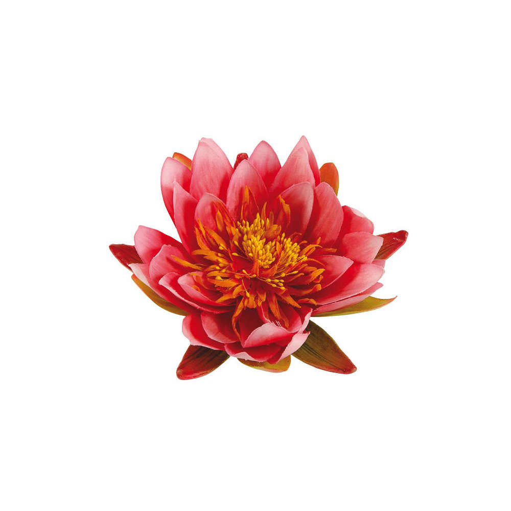 Nénuphar décoratif pour bassin : Rose diametre 14 cm