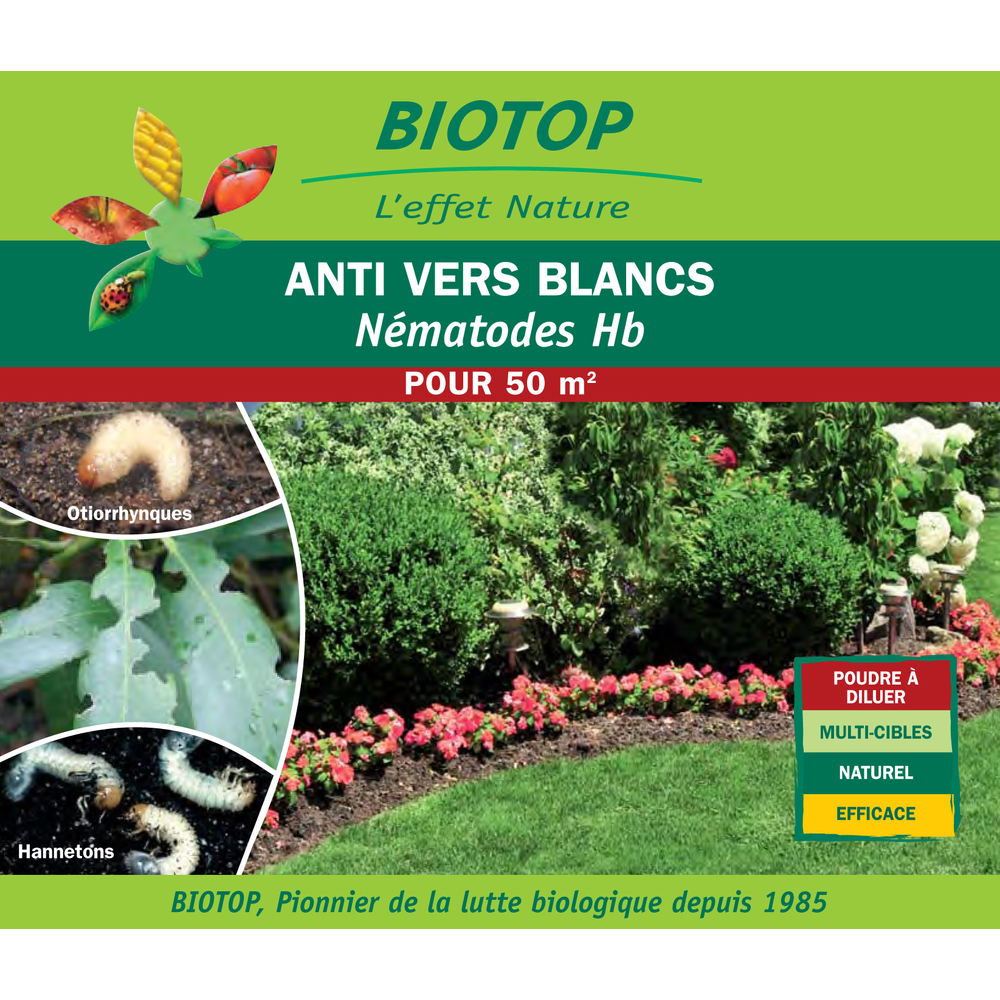 Nématode Hb 25 M, anti-vers blancs