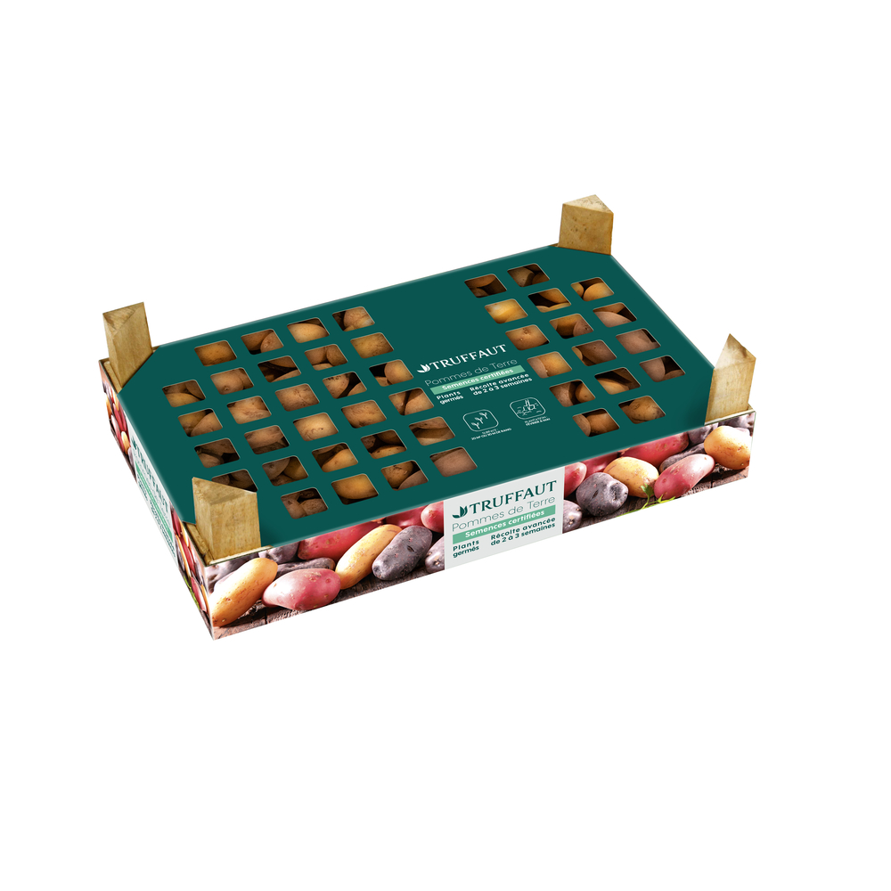 Pomme de terre monalisa : 28/35, 100 plants