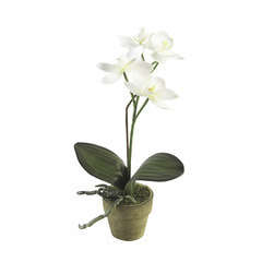 Mini-orchidée phalaeno artificielle pot H25 cm : Fleurs et plantes