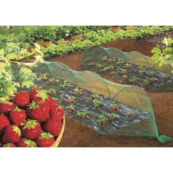 Filet de protection Oiseaux vert 2X5M