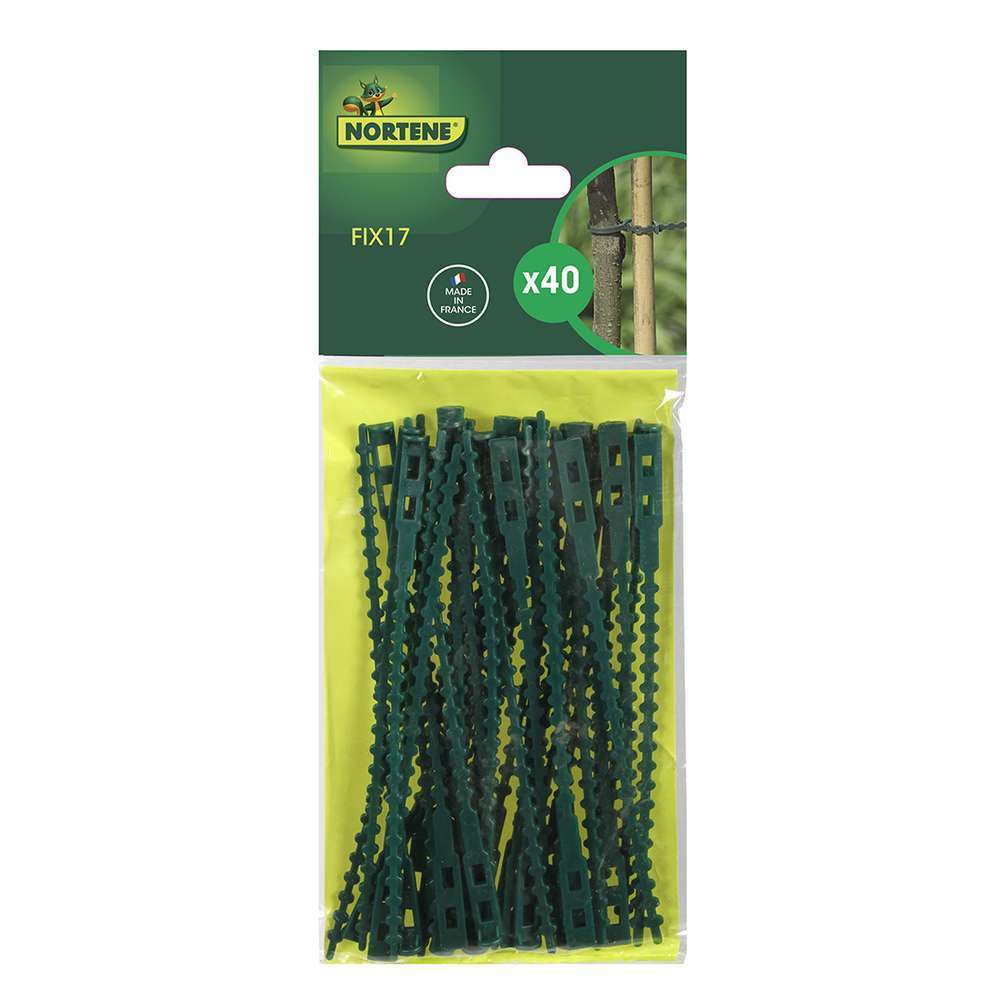 Liens plastique Vert 17 cm X 40