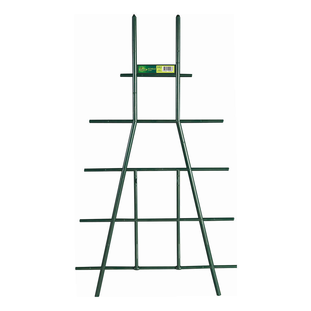 Tuteur Echelle Vert 50 cm