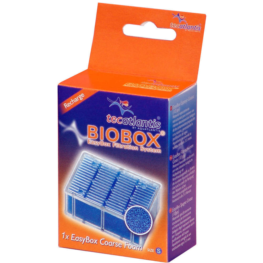 Easybox mousse large s : plastique mousse l. 7 x l. 4 x h. 10 cm