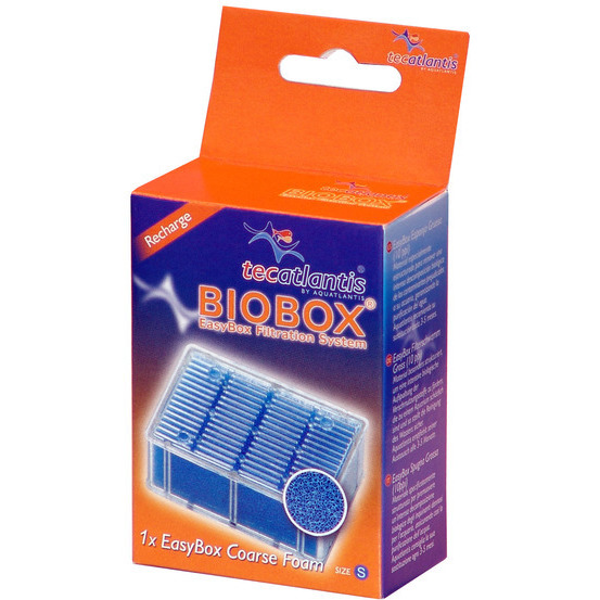 Easybox mousse large s : plastique mousse l. 7 x l. 4 x h. 10 cm