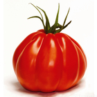 Plants de tomates 'Corazon' F1 : barquette de 3 plants