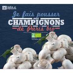 Kit de culture champignons de Paris : 30x27