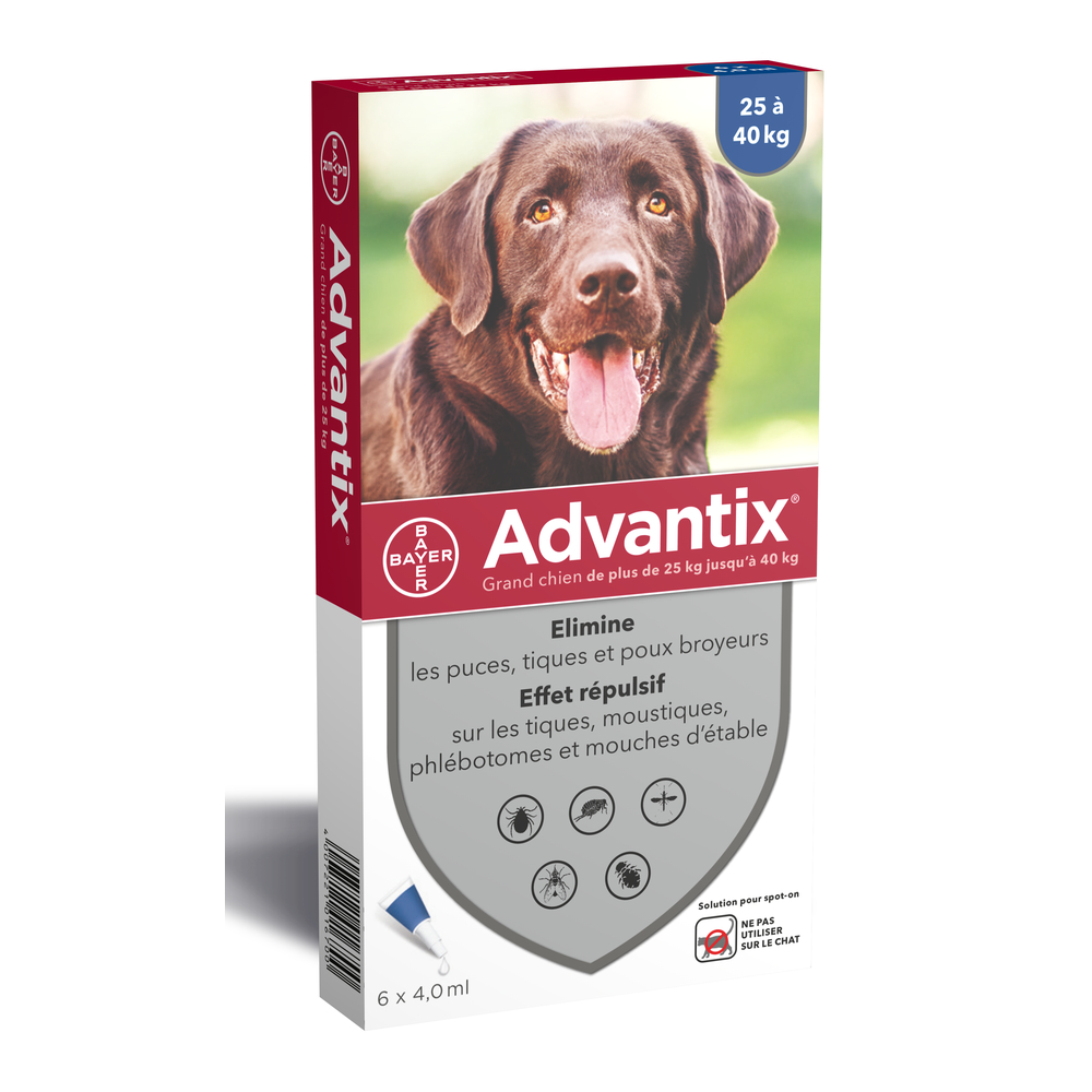 Pipette antiparasitaire grand chien advantix x4