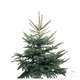 Sapin de Noël naturel Picea pungens : 100/150 cm - C.10 litres en pot