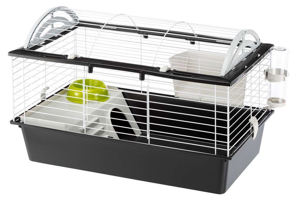 Cage équipée Casita 80 pour grands rongeurs : longueur 78 cm