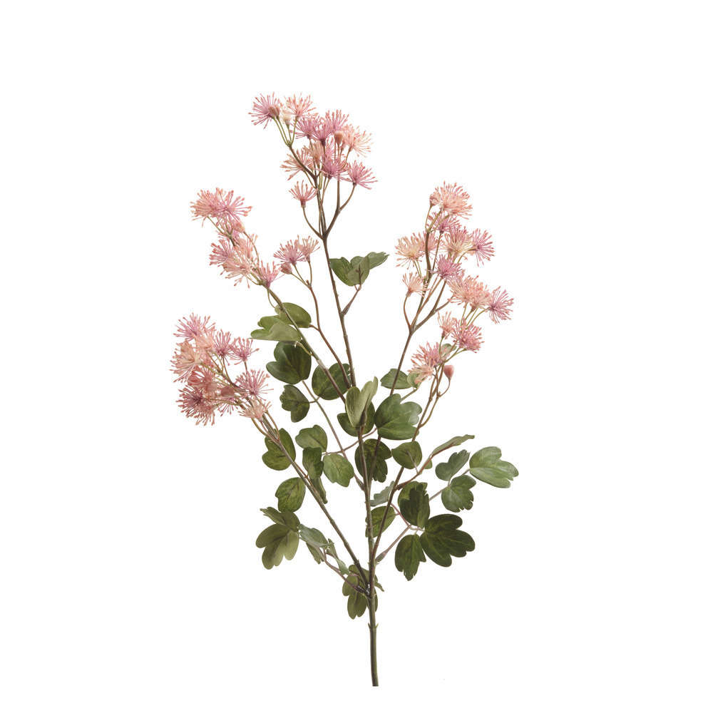 Tige brin meadow, rose H. 70 cm