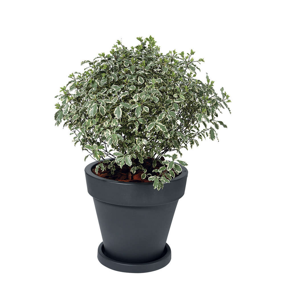 Pot Pure® Rond, anthracite Ø 39,5 x H. 35,8 cm