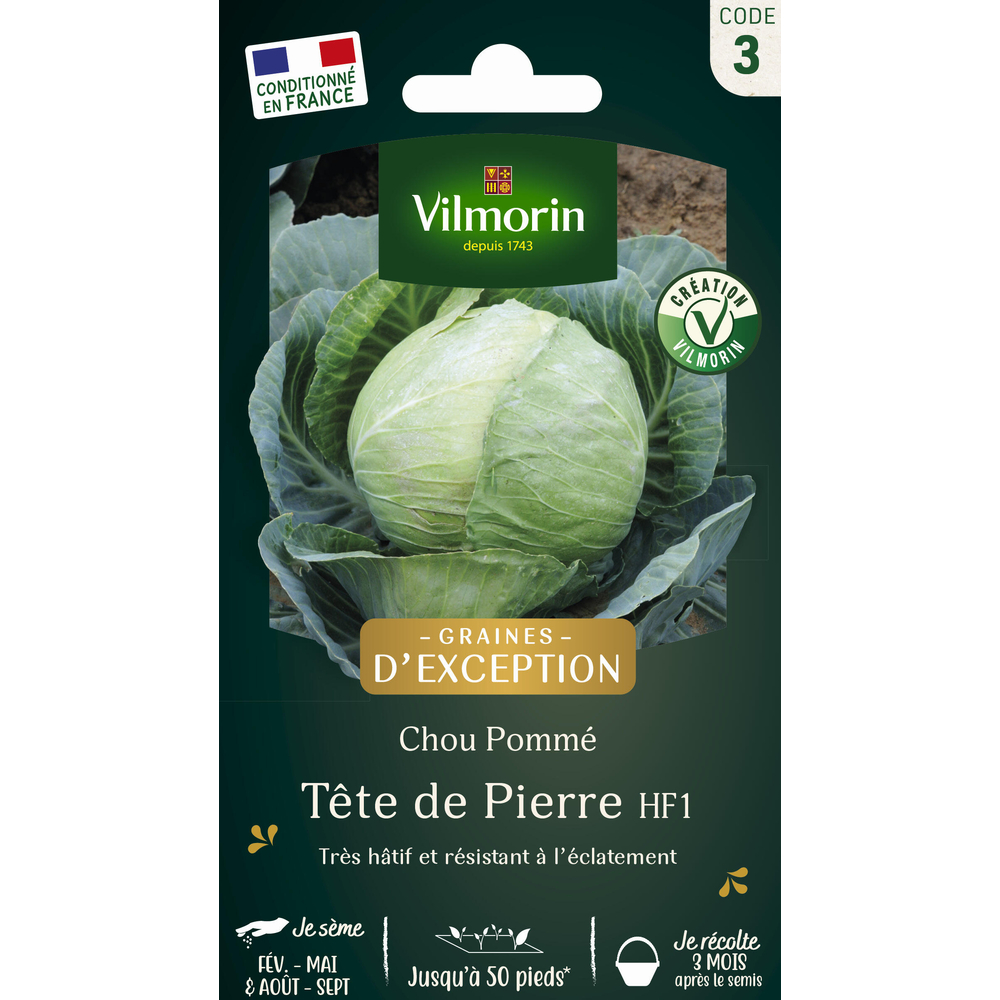 Graines de chou CabusTete de pierre Hybride F1 en sachet