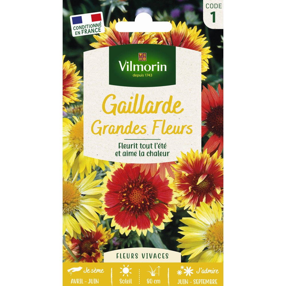 Gaillarde vivace variée à grande fleur : en sachet