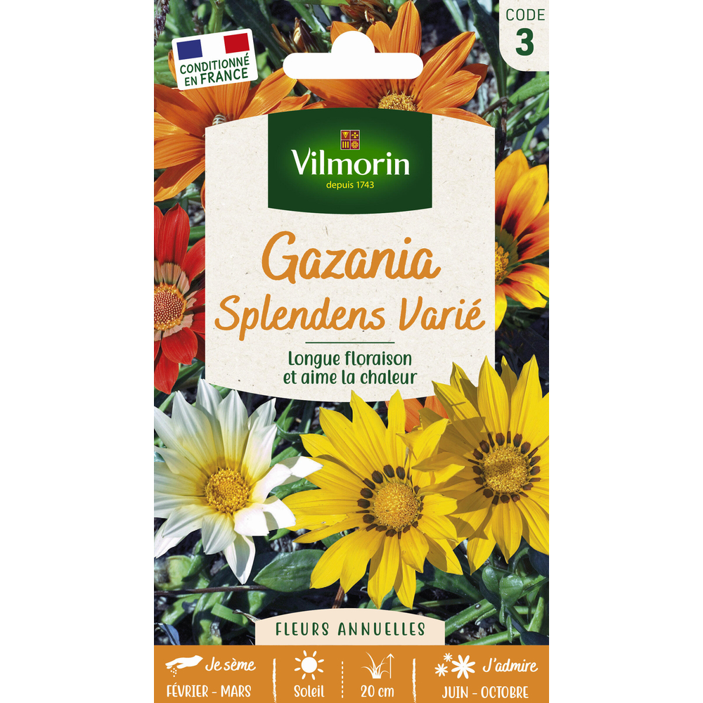 Gazania Splendens varié : en sachet