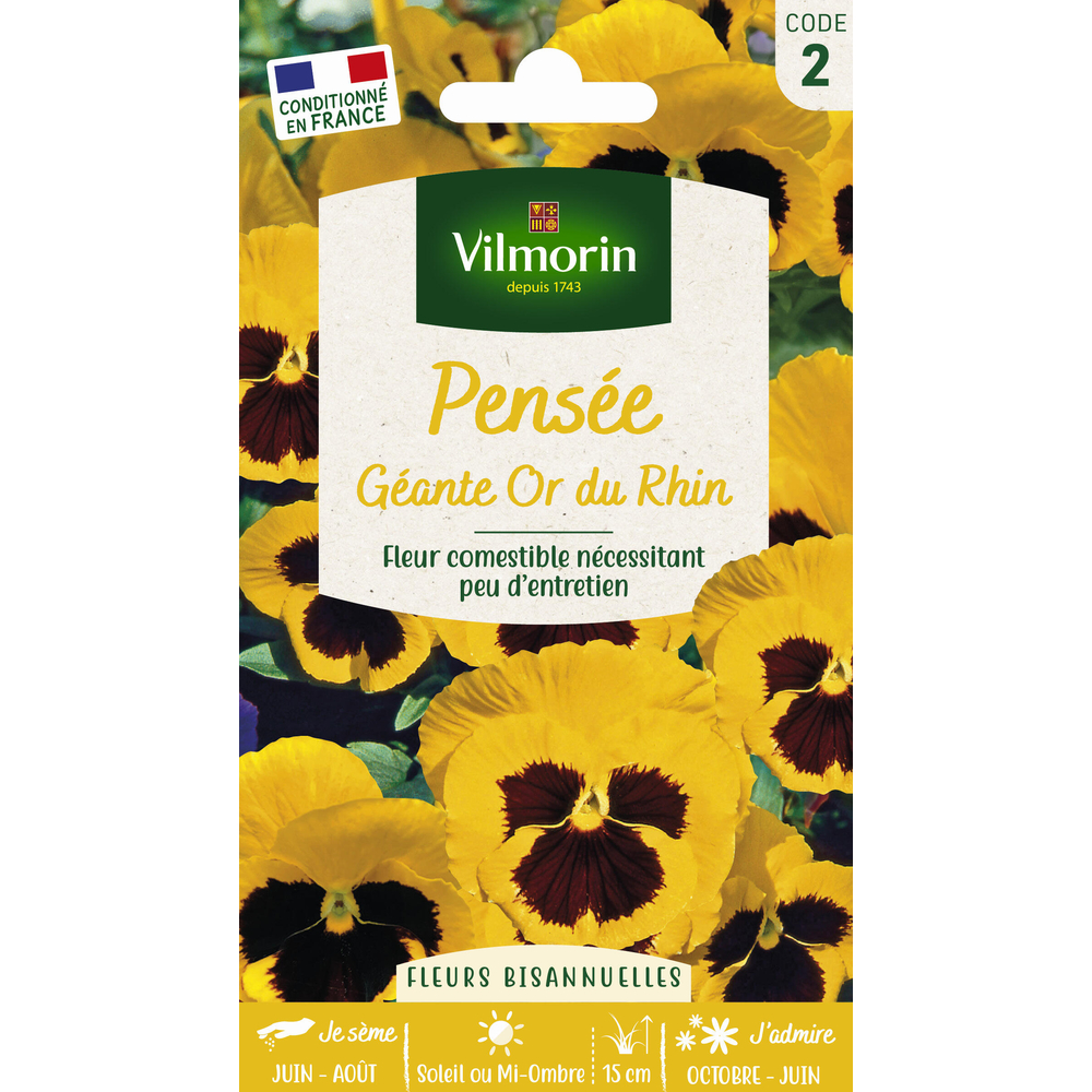 Pensée Géante Or du Rhin : en sachet