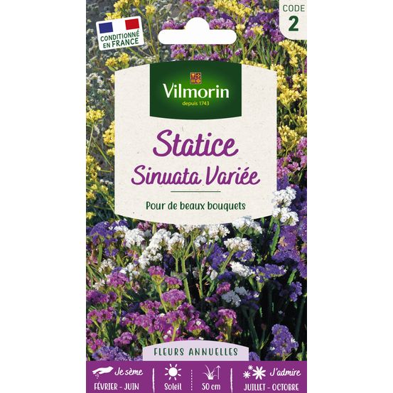 Statice Sinuata variée : en sachet