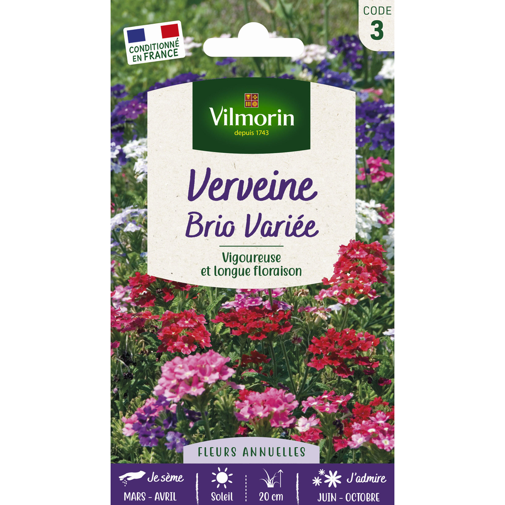 Verveine Brio variée : en sachet