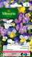 Viola cornuta variÃ©e : en sachet