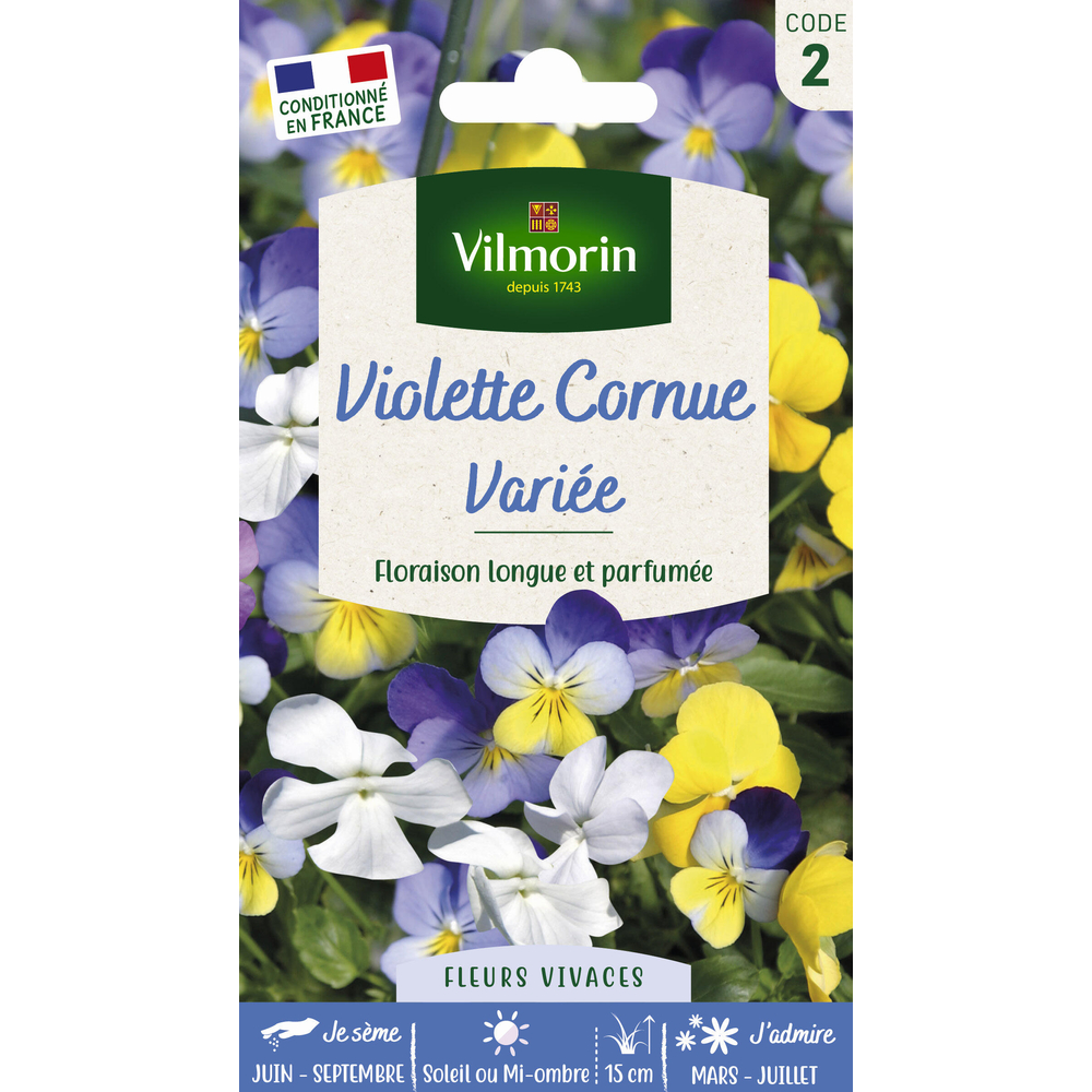 Viola Cornuta variée : en sachet