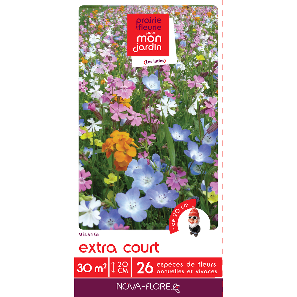 MÃ©lange fleuri extra court 30m2 : En boite