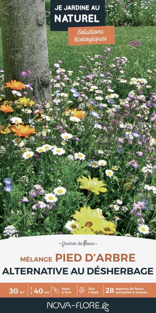 MÃ©lange fleuri Pied d'arbre 30m2 : En boite