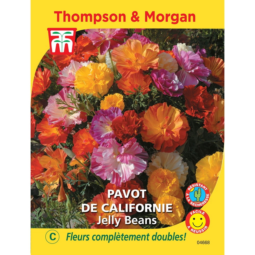 Pavot de californie jelly beans