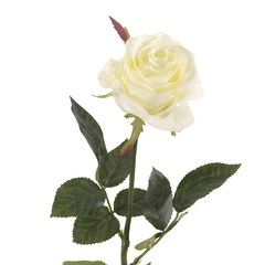 Tige rose simone, blanc H. 73 cm