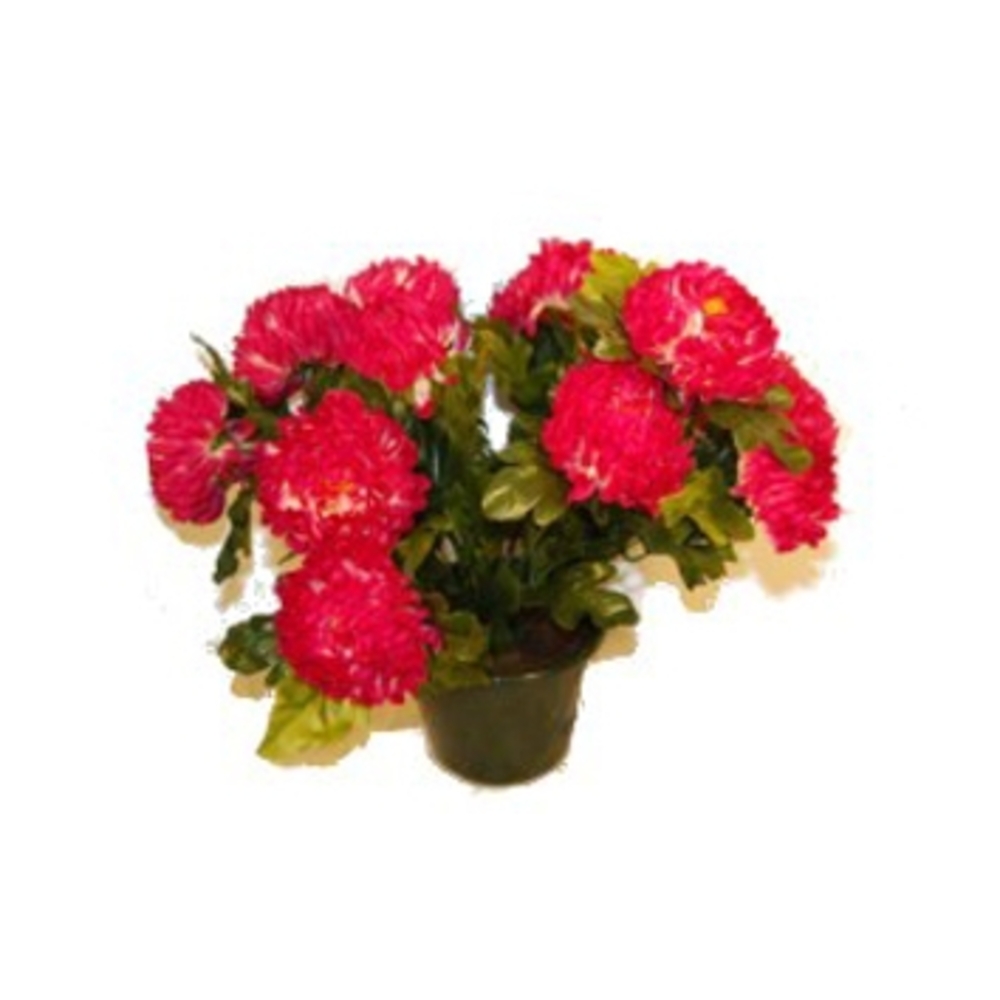 Pot de 14 chrysantheme lavande , H37CM - L38Cm, 2Kg