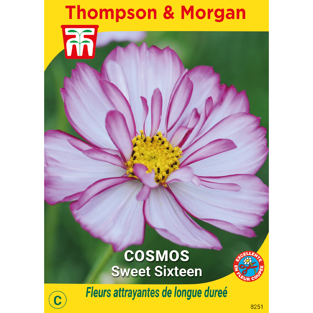 Cosmos 'sweet sixteen'