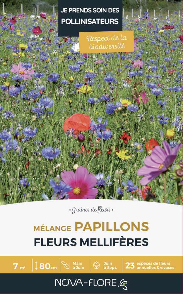 Mélange fleuri Papillons 7m2 : En boite
