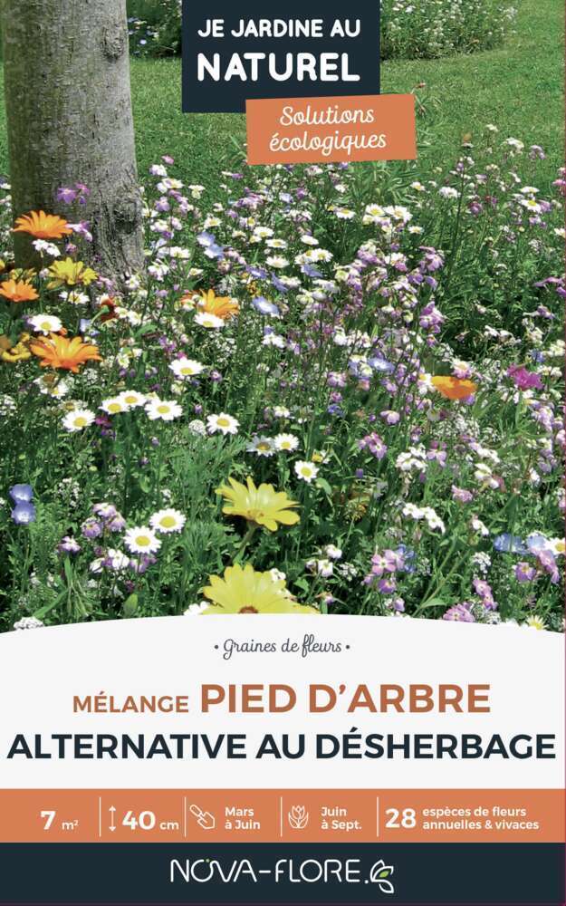 Mélange fleuri Pied d'arbre 7m2 : En boite